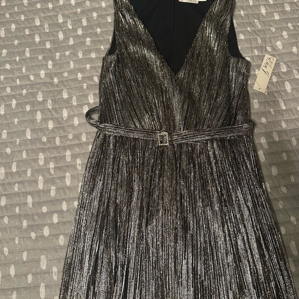 Shimmering Silver Sleeveless Dress